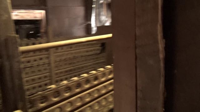 Я решил завести Венгерскую мангалицу смотреть онлайн