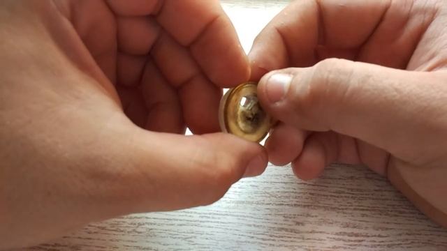 Манжета грибок через 1000 выстрелов с газовой пружиной смотреть онлайн