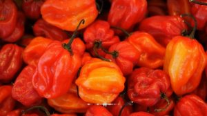 Пять Продуктов Снижающие Давление