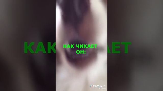 83e1ae0f-7a1a-44c6-a48e-eaba99efe6b5-1_all_24604.mp4