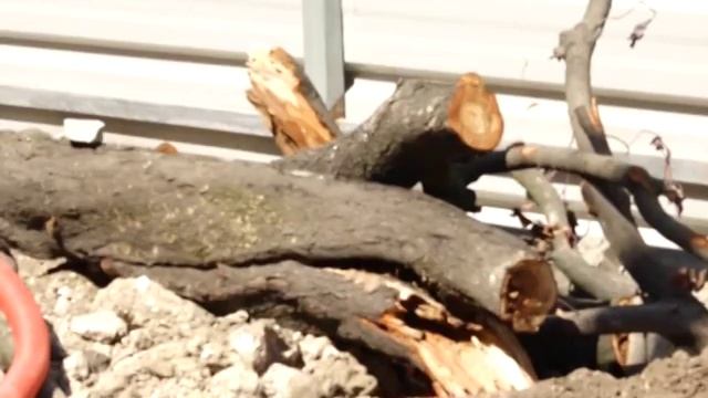 Реконструкция центра столицы продолжается смотреть онлайн