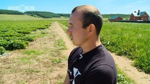 Клубничное Эльдорадо в Сабинском районе | Бизнес на селе #13