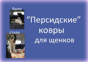 "Персидские ковры" для щенков.