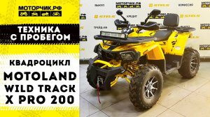 Техника с пробегом! Квадроцикл MotoLand Wild Track X PRO