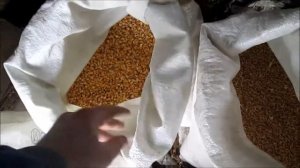 Как делать корм птице 4 в 1 / Зернодробилка / Крупорушка.