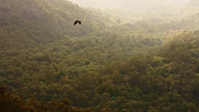 BBC Travel Show - Mauritius (Week 11 - 2018)