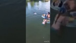 Алтайский край.Завьялово.Отпуск.