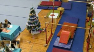 Новогодние соревнования по спортивной гимнастике 2017