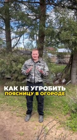 ТРИ золотых правила, чтобы не угробить поясницу в огороде