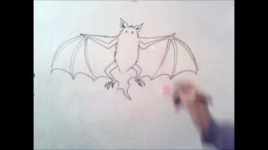 как рисовать летучую мышь