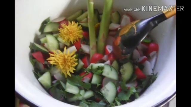 Весенний салат(РЕДИС,ОГУРЕЦ, СПАРЖА...),Туш.картофель с крапивой!Рыба сазан,судак... смотреть онлайн