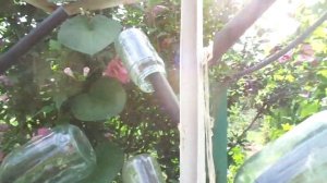 Сушилка для банок и бутылей.