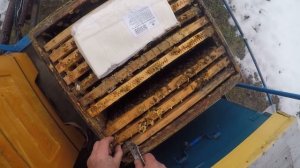 Подкормка пчел зимой рамкой с медом Подкормка пчел на улице