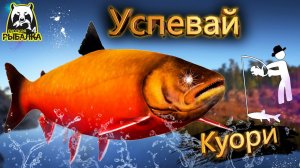 RF4 ЭТО ВООБЩЕ УДИВЛЯЕТ ПРОСТО УСПЕВАЙ ЗА НИМИ