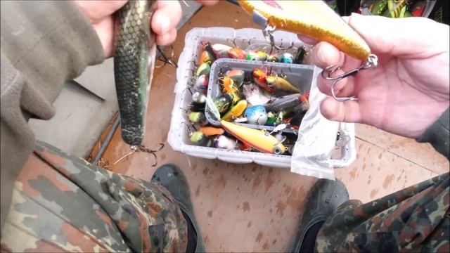 Проморолик.... Рыбалка на Ямале август 2020