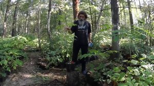 Курс: Бархат Амурский, часть 1.