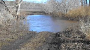 к лебяжьему дороги нет