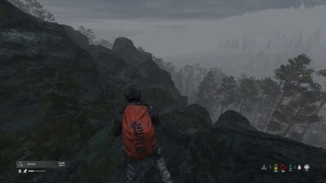 Самое обычное выживание. Без кланов, рейдов и даже без лесной базы - DayZ