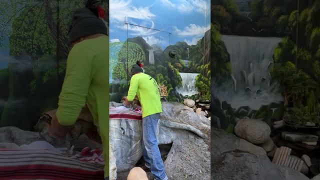 89 Tortoises, 1 injured PANCAKE & The Tortoise Guy go Live! ??❤️?? смотреть онлайн