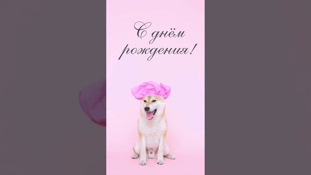 Музыкальное поздравление с днем рождения! смотреть онлайн