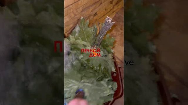 ПРИЕХАЛИ ТЕСТИТЬ КОММЕРЧЕСКУЮ БАНЮ У Д. САШИ 8(918)5207112. Все для бани в наличии #печнойдомlive