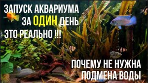 Как БЫСТРО ЗАПУСТИТЬ АКВАРИУМ, Без Вреда для Рыбок и Дополнительных Финансовых Трат