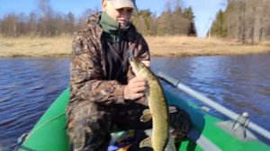 Ловля щуки на Финском заливе. Апрель 2020