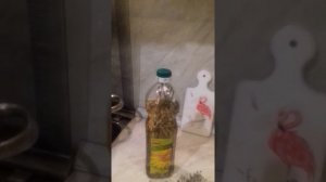 ПРОЩЕ ПРОСТОГО! КАК СДЕЛАТЬ Ароматное масло на пряных травах.