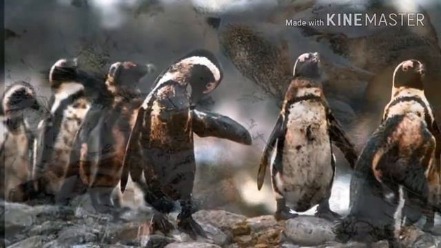 Береги мир смотреть онлайн