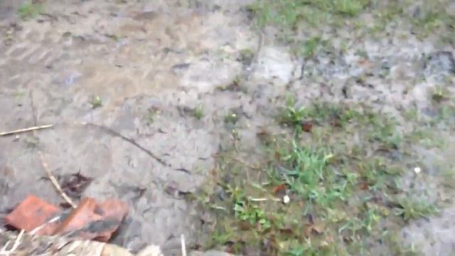 1992 Buick Century 3.3 engine problem смотреть онлайн