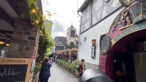 Рюдесхайм на Рейне и Нидервальд - сердце Германии