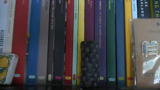 Shelfie #5: Another 'Interesting' Shelf.... #bookcollecting