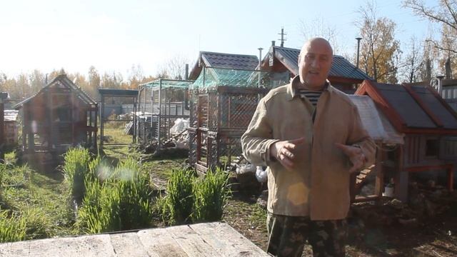 Правильное освещение в курятнике зимой. Одно правило. смотреть онлайн