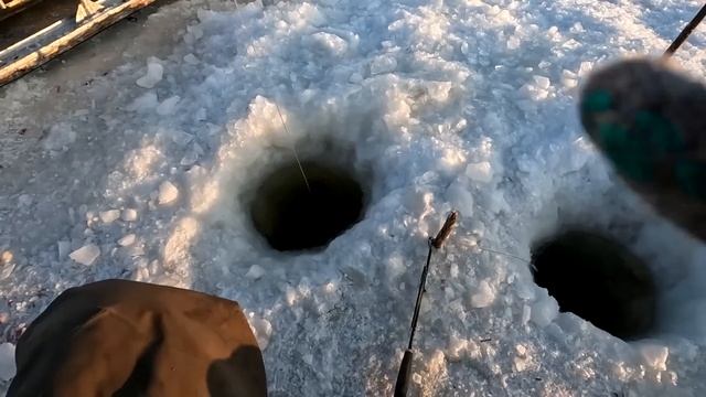 Встреча с подписчиками! Не правильный день!!! смотреть онлайн