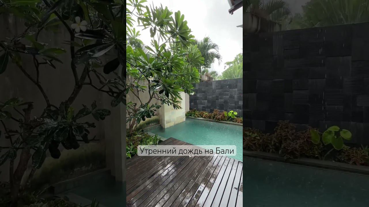 #бали #балинедвижимость #бали2023 #bali #baliindonesia доходная недвижимость на Бали 8-915-036-8069