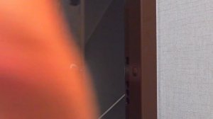 МОЯ ПОДРУГА ОБЖОРА! СОЖРАЛА ВСЮ ПИЦЦУ!