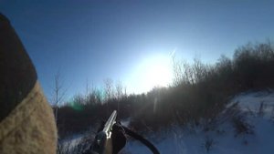 Охота на тетерева на лунках!!! Омская Область!! МР27