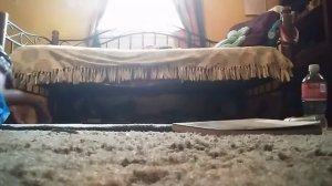 Clean my  room tips and tricks