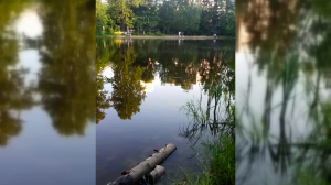 16.06.2023 19:13 [Увидел озеро Аниськино]