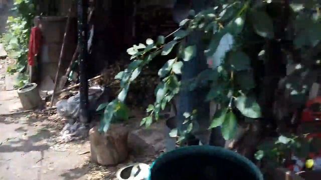 Июнь 2018 Дача ч.1 смотреть онлайн