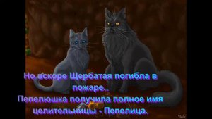 История жизни Пепелицы. ( Целительница) Коты-воители.
