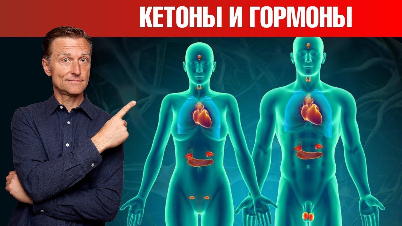 Как кетоны влияют на гормональную систему? Баланс гормонов