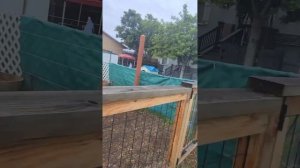 БЕСПЛАТНЫЕ ПАМПЕРСЫ?♀️ реально ли получить?♀️