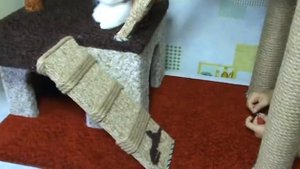 Когтеточка с домиком для котят и кошки