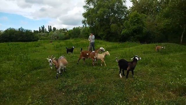Еще одно обычное утро в деревне//небольшие преобразования//жизнь в деревне//наше хозяйство смотреть онлайн
