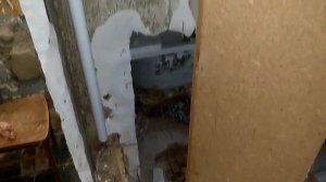 Как заменить "водяные стояки" на полипропилен... с врезкой вниз к соседям.