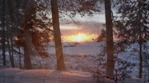 СНЕГ ШАЛЬНОЙ - гр. Белый день