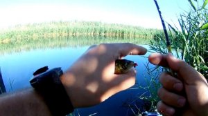 МОРМЫШИНГ : Столько карася я еще никогда не ловил на одну приманку!!!