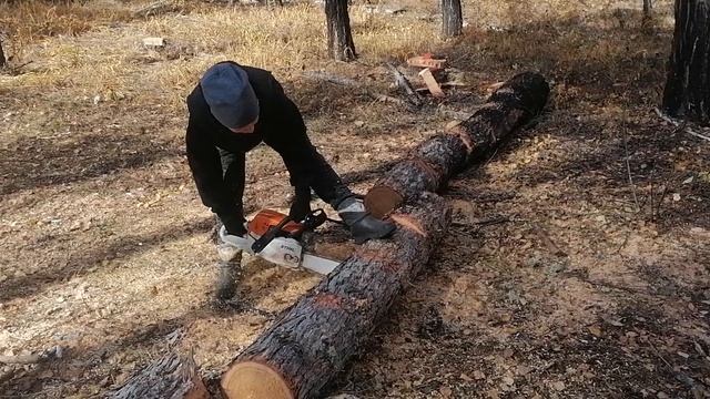 Покажи легкие видео