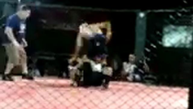 Hugo Santos vs Loro Jose MMA Wild-FC смотреть онлайн
